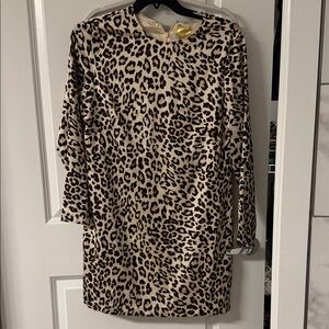 H&M Leopard Print Long Sleeve Dress
